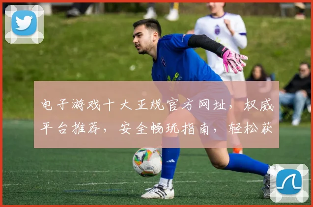 电子游戏十大正规官方网址，权威平台推荐，安全畅玩指南，轻松获取